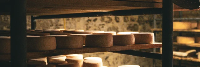 Fromage en maturation sur des étagères dans une cave.