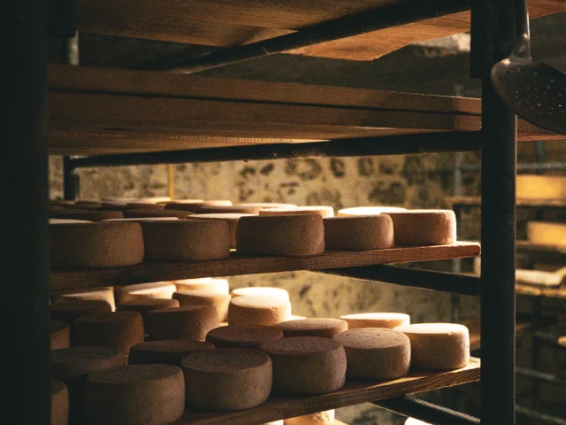 Fromage en maturation sur des étagères dans une cave.