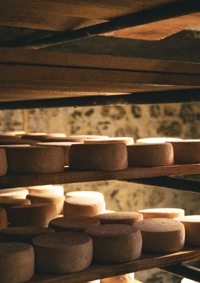 Fromage en maturation sur des étagères dans une cave.