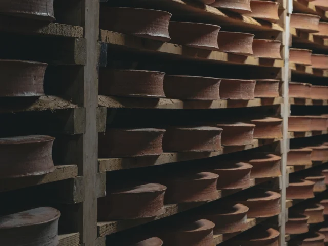 Des fromages d'Abondance sont en maturation sur des étagères en bois dans une cave.