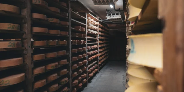 Des fromages d'Abondance sont en maturation sur des étagères en bois dans une cave.