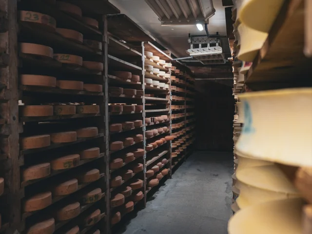 Des fromages d'Abondance sont en maturation sur des étagères en bois dans une cave.