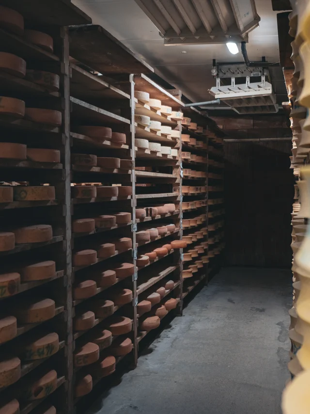 Des fromages d'Abondance sont en maturation sur des étagères en bois dans une cave.