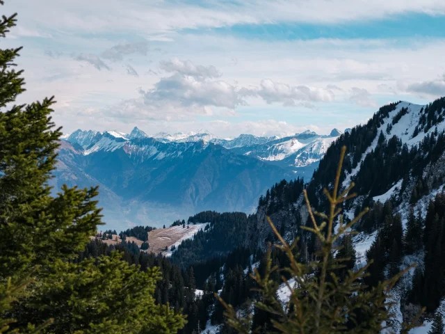 Haut Des Pistes De Ski Thollon Les Memises. En fond il y a les montagnes suisses enneigées.