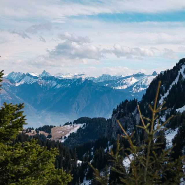 Haut Des Pistes De Ski Thollon Les Memises. En fond il y a les montagnes suisses enneigées.