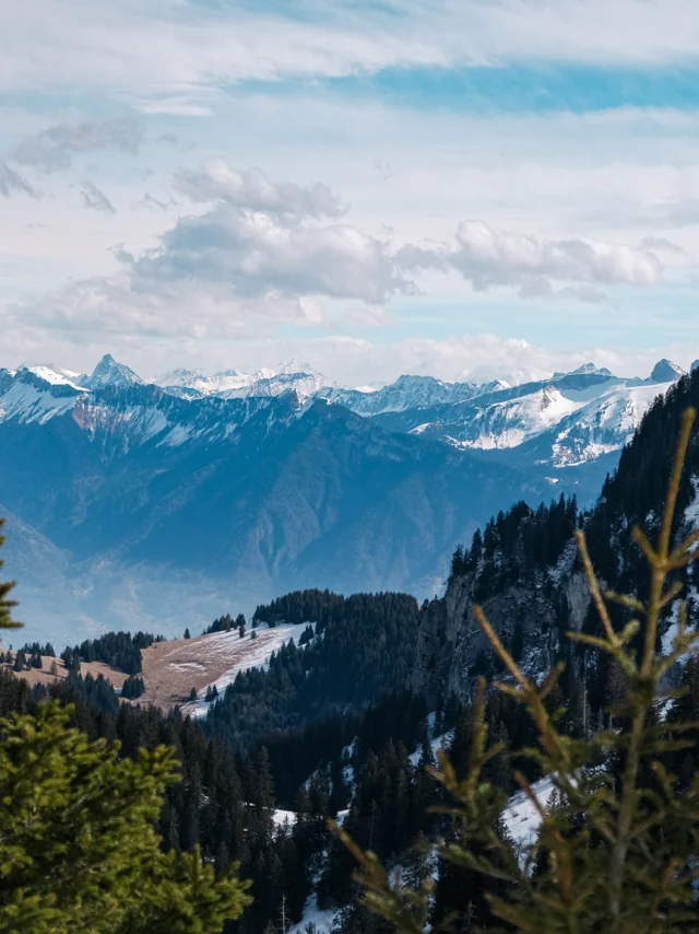 Haut Des Pistes De Ski Thollon Les Memises. En fond il y a les montagnes suisses enneigées.