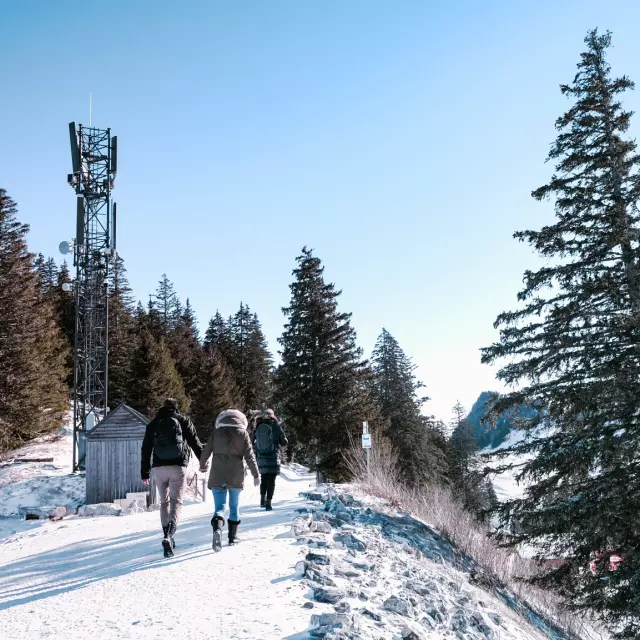 Sentier enneigé à Thollon Les Memises. Un couple se promène main dans la main sur une crête enneigée.