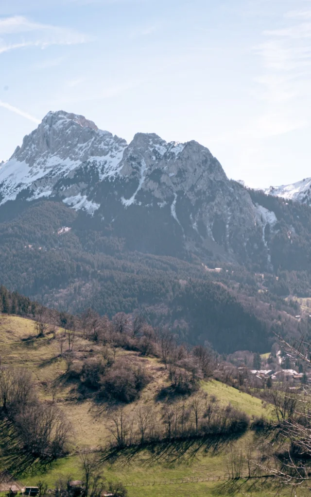 Snow-covered Dent d'oche and snow-free village below with beautiful green spring grass