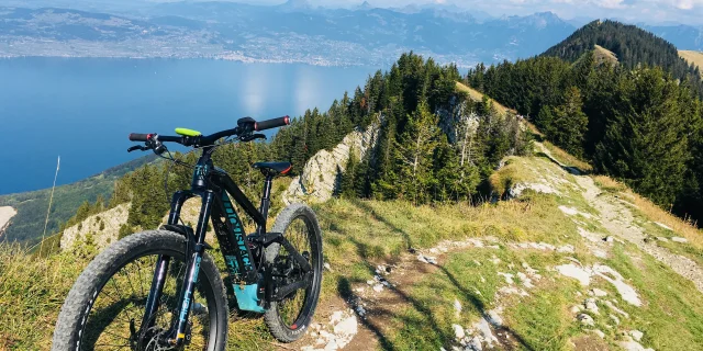 VTT_Gavot_Bike_Leman_5.jpeg