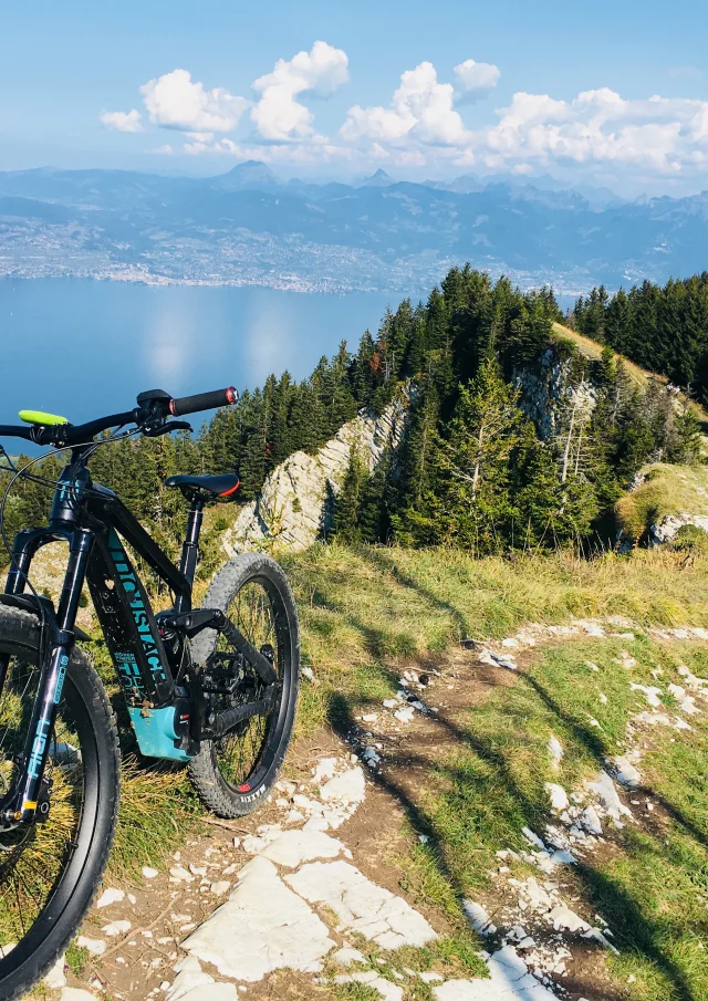 VTT_Gavot_Bike_Leman_5.jpeg