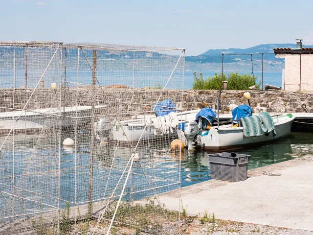 23._Maxilly-sur-Leman_Nicolas_Blandin.jpg