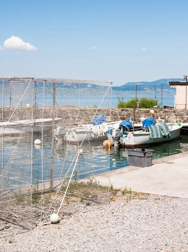 23._Maxilly-sur-Leman_Nicolas_Blandin.jpg