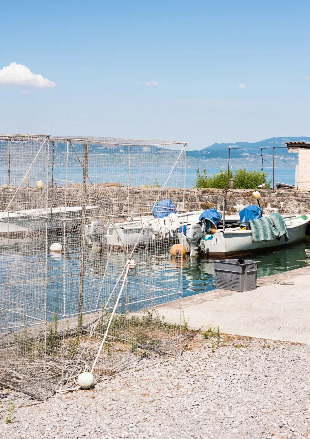 23._Maxilly-sur-Leman_Nicolas_Blandin.jpg