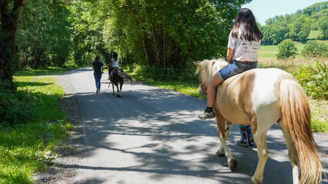 Centre Equestre Bernex