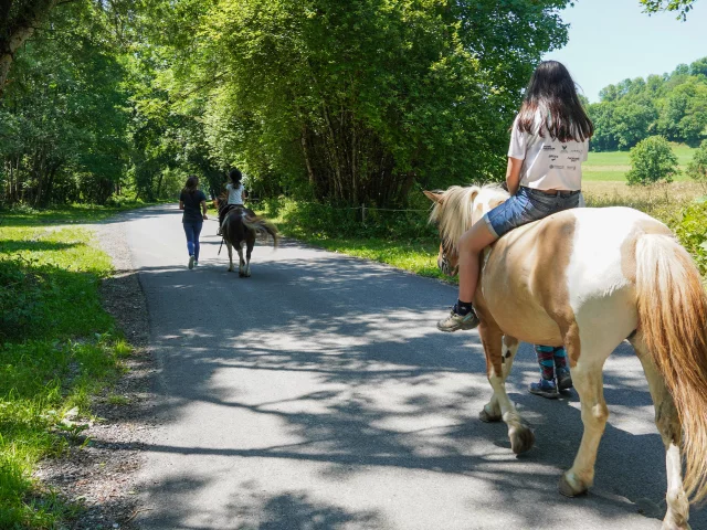 Centre Equestre Bernex