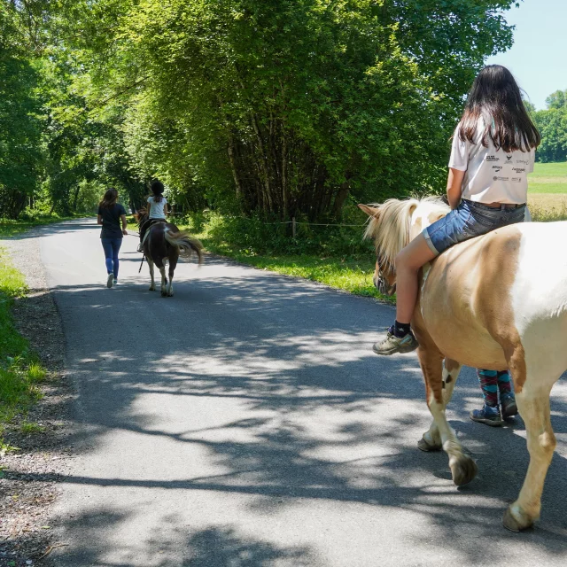 Centre Equestre Bernex