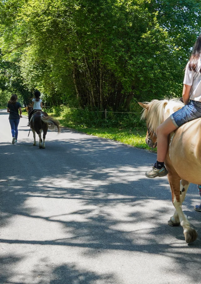 Bernex Equestrian Center