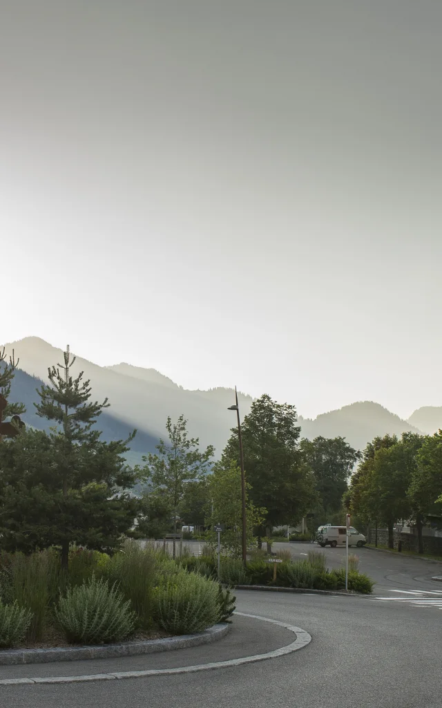 La Chapelle d'Abondance zomer 2020