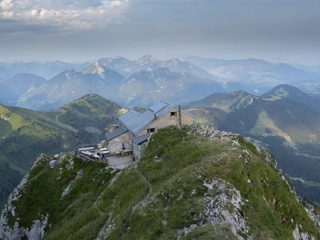 Dent D'Oche