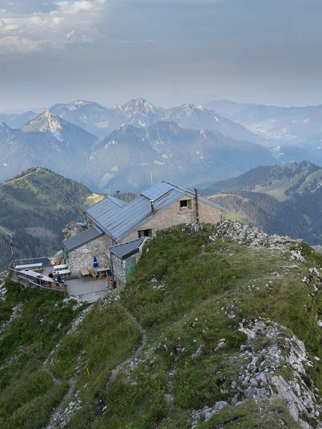 Dent D'Oche