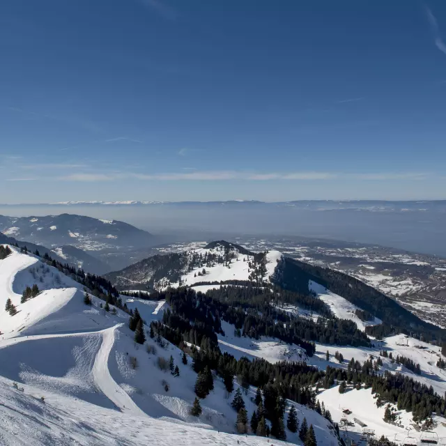 Montagne enneigées de Bernex avec vue sur le Léman