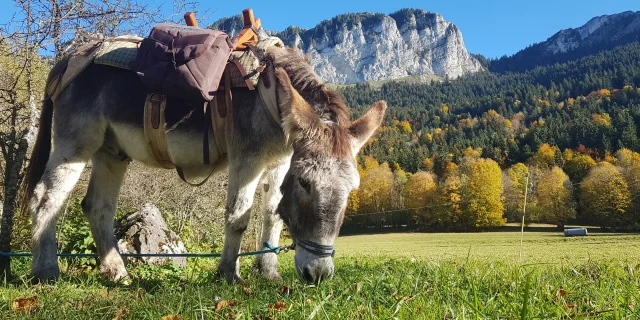 Fermes Des Genti'Anes