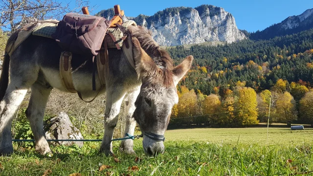 Fermes Des Genti'Anes