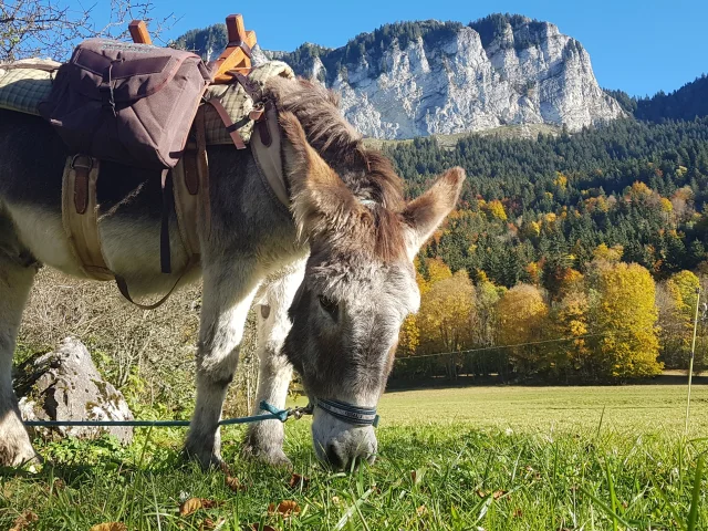 Fermes Des Genti'Anes