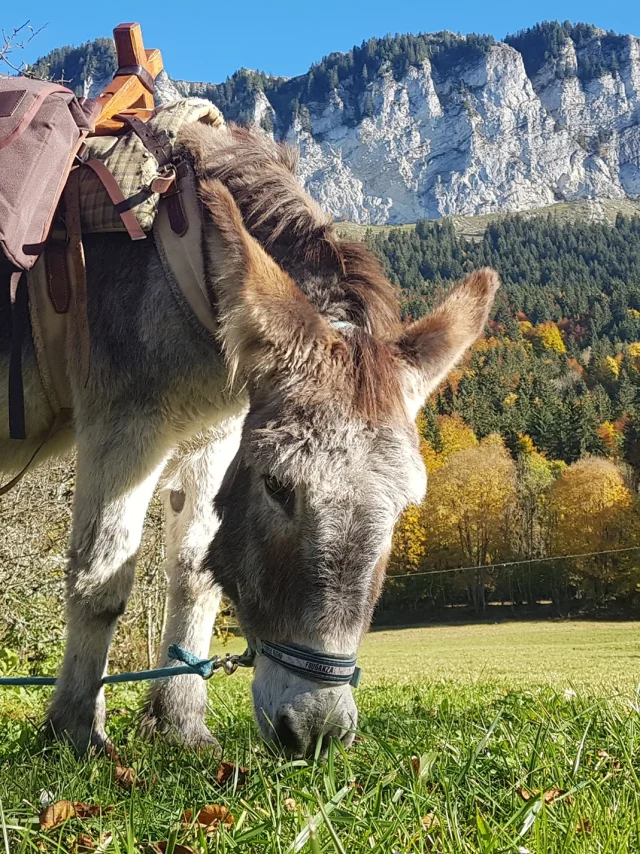 Fermes Des Genti'Anes