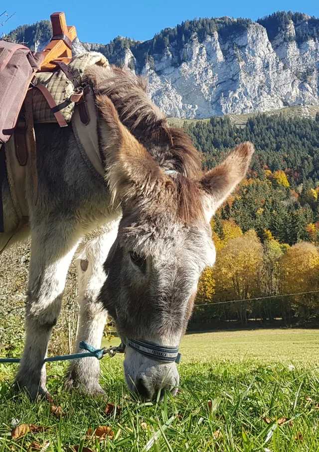 Fermes Des Genti'Anes