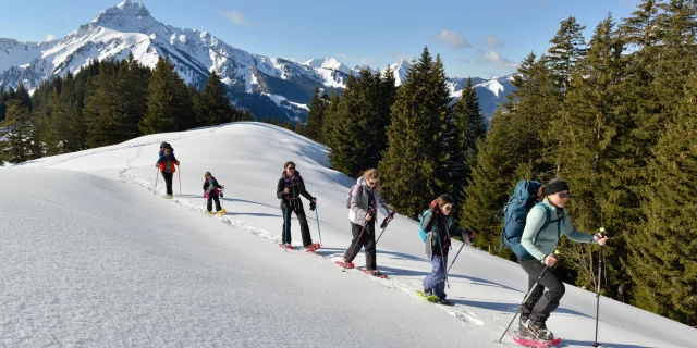 Sneeuwschoenwandelen Abondance