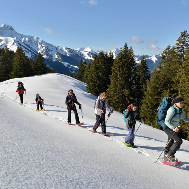 Snowshoeing Abondance