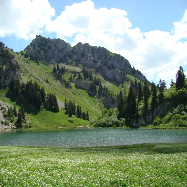 Lac d'Arvouin