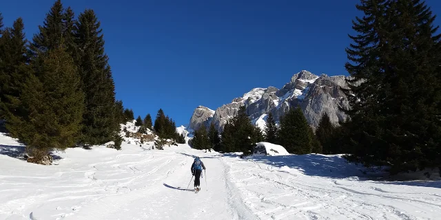 Ski De Rando