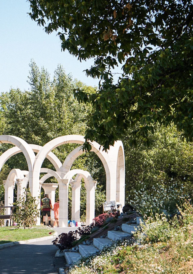 A spring among the trees formed by white arches