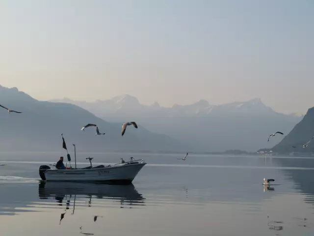 Un bateau de pêche sur le lac au matin.