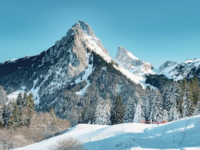 Domaineskiable Bernex