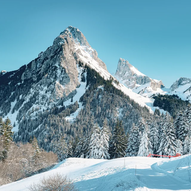 Domaineskiable Bernex