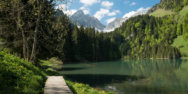 Lac Plagnes Abondance Mai18 10