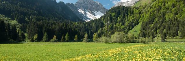 Lac Plagnes Abondance Mai18 2