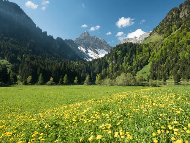 Lac Plagnes Abondance Mai18 2