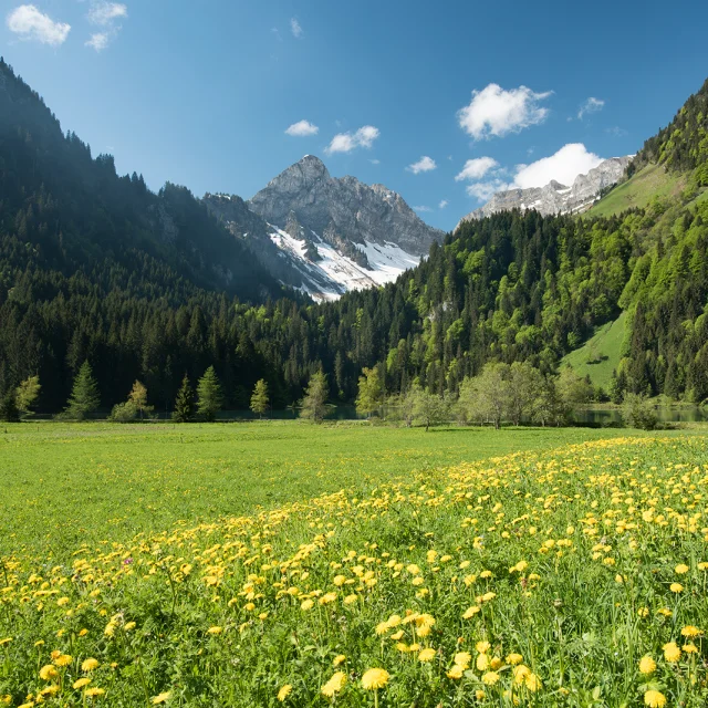 Lac Plagnes Abondance Mai18 2