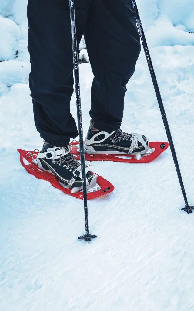 Snowshoeing Abondance