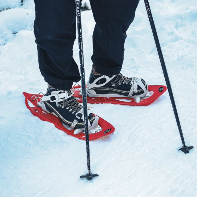 Snowshoeing Abondance