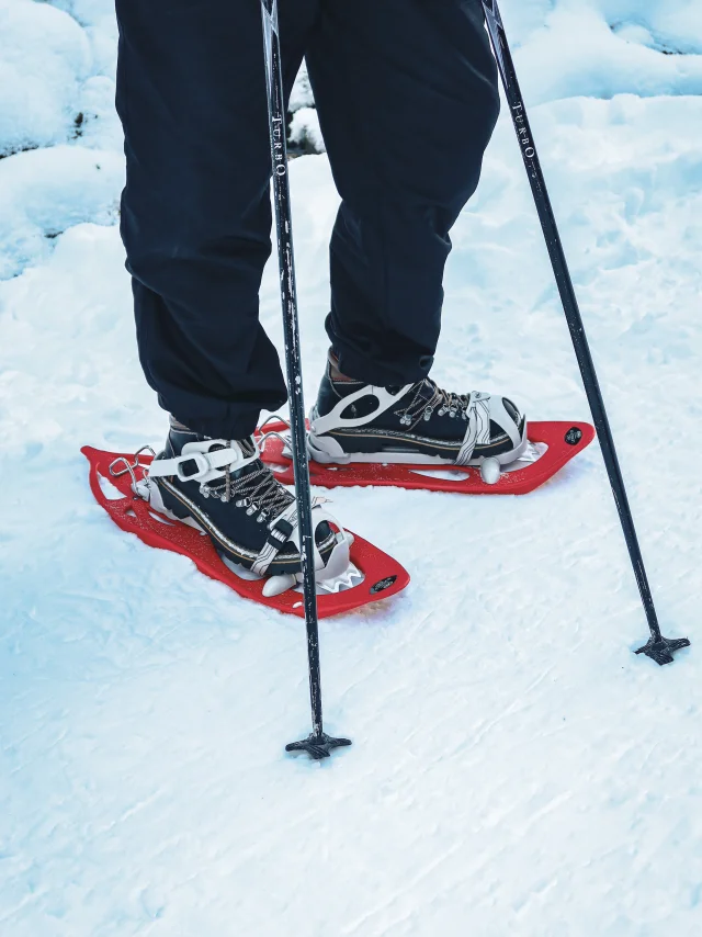 Sneeuwschoenwandelen Abondance