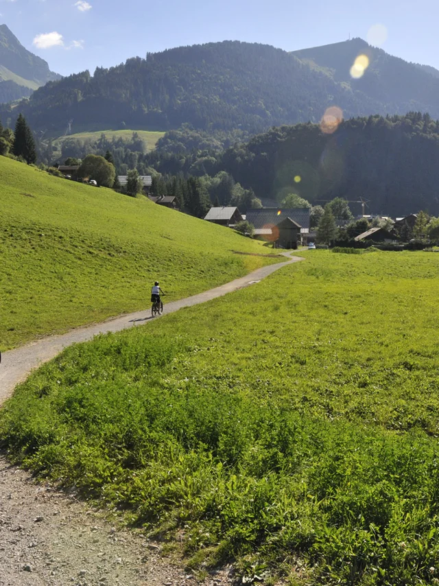 Elektrische mountainbike