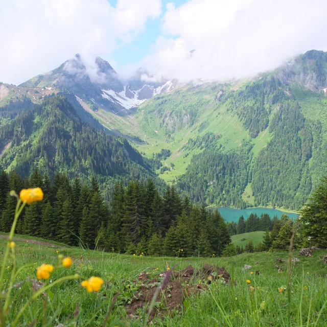 Mont De Grange Depuis Abondance Otpeva21