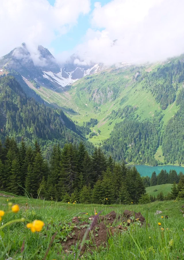 Mont De Grange From Abondance Otpeva21