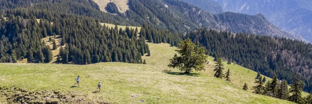 Parcours Mont Baron