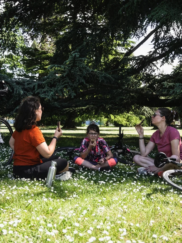 Picknick in Publier